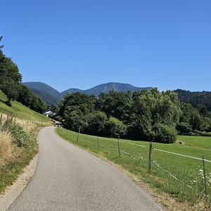 Der Schwarzwald