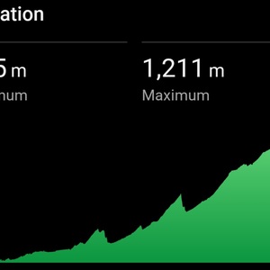 Ali said today was nothing but up. Not true.