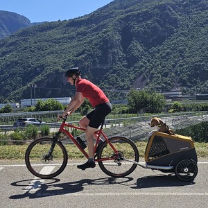 What you cannot see are the ears flapping in the wind