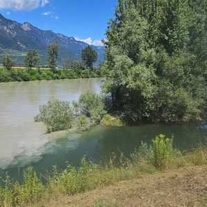 Where Adige (gray) meets Branzoller Graben (water colour)