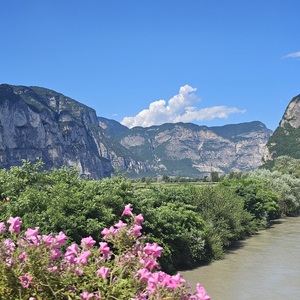 Looking back at the river of today