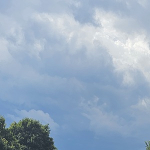 You never know what you are going to get