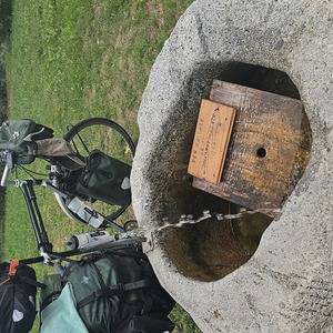 “Ramp to save the bees”