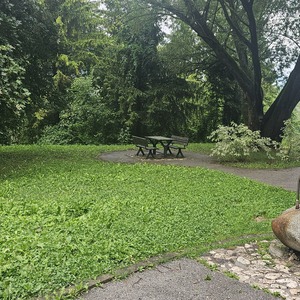 Bathroom, dining back right, find the bedroom