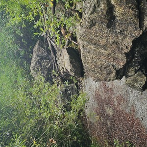 This path really has come to an end