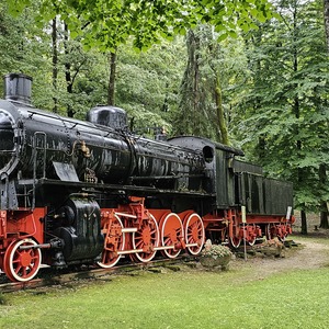 A random train in a forest