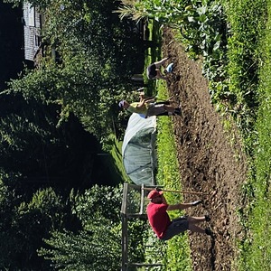 Family farm (spot the todler)