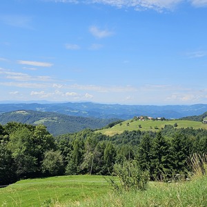 With views for reward