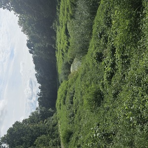 A deliberate diversion to see some nature