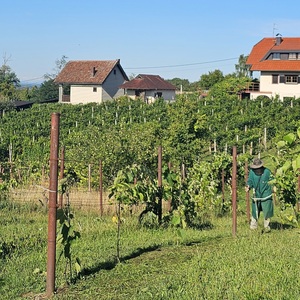 Large scale mowing with stimmers