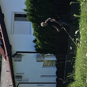 Strimmers. Still the lawn mower of choice.