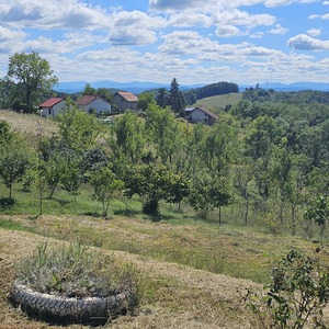 Back in nice scenery