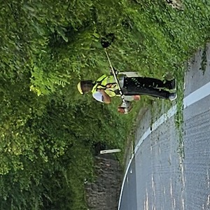 No job too big for a strimmer