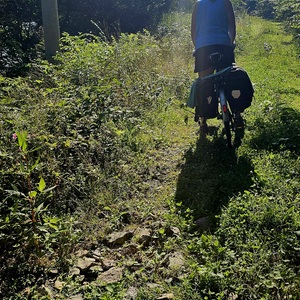 The path less trodden