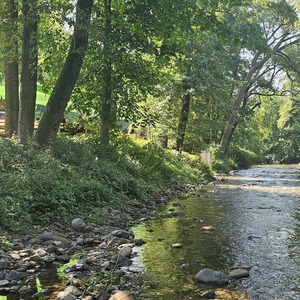 Ali (top left) by our Vrbas