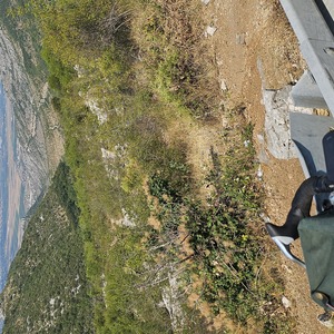 Definitely above the castle