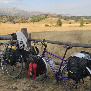 Like two horses at the ranch