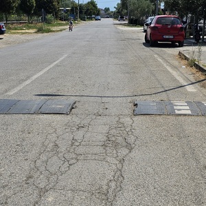 My kind of speed bump