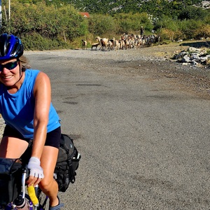 Note the goats at the bottom of this climb