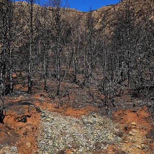 The severe fires we had been warned about