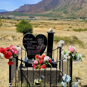 A sadly common roadside occurrence