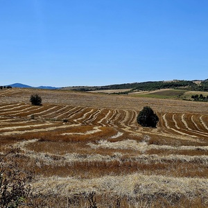 Fields like we haven’t seen in weeks
