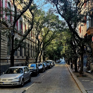 Trees make all the difference