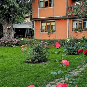 Our garden and the famous pear tree