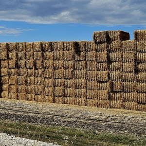 Perhaps the most exciting roadside feature outside of Plovdiv