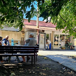 Functional village life