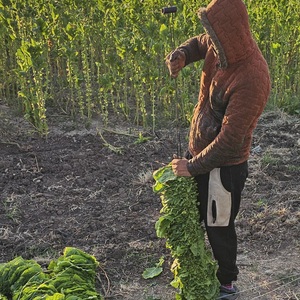 About 20cm are from me!