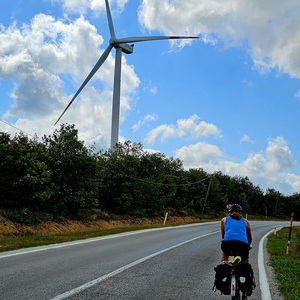 Wind - a theme of the day