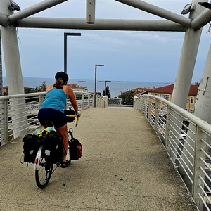 Awaiting entry to Istanbul (us and the ships)