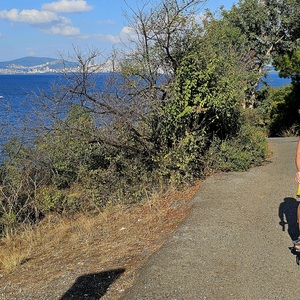 A mini loop of the island