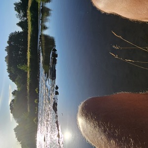 River Semois - after the rain