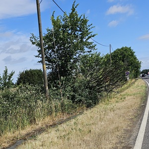 People ask why I don’t use the path