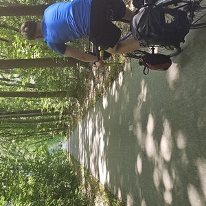 The paths are amazing